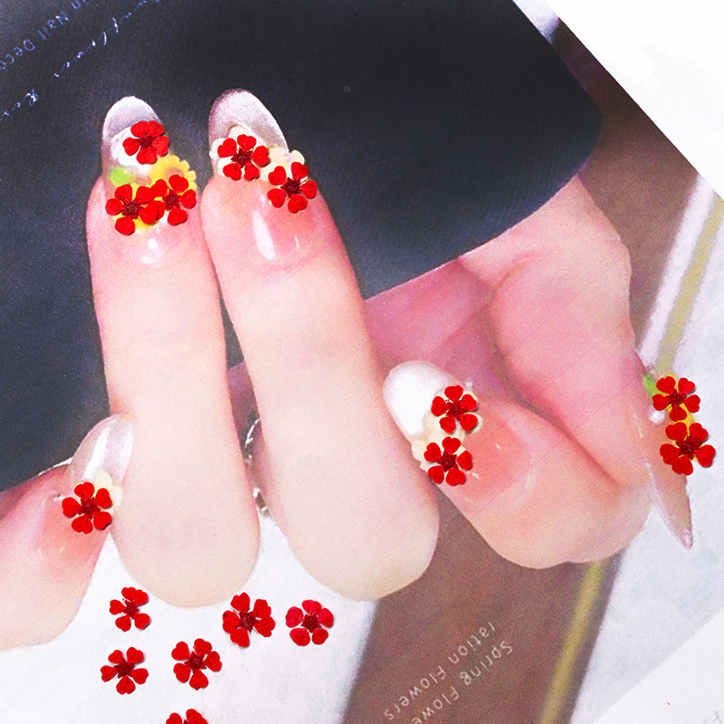96 ชิ้น ดอกไม้แห้งธรรมชาติขนาด - Resin Art Baby บทวิจารณ์และราคา
