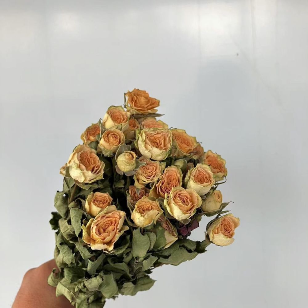 ช่อดอกกุหลาบแห้งจริง ดอกไม้แห้ - Resin Art Rose บทวิจารณ์และราคา