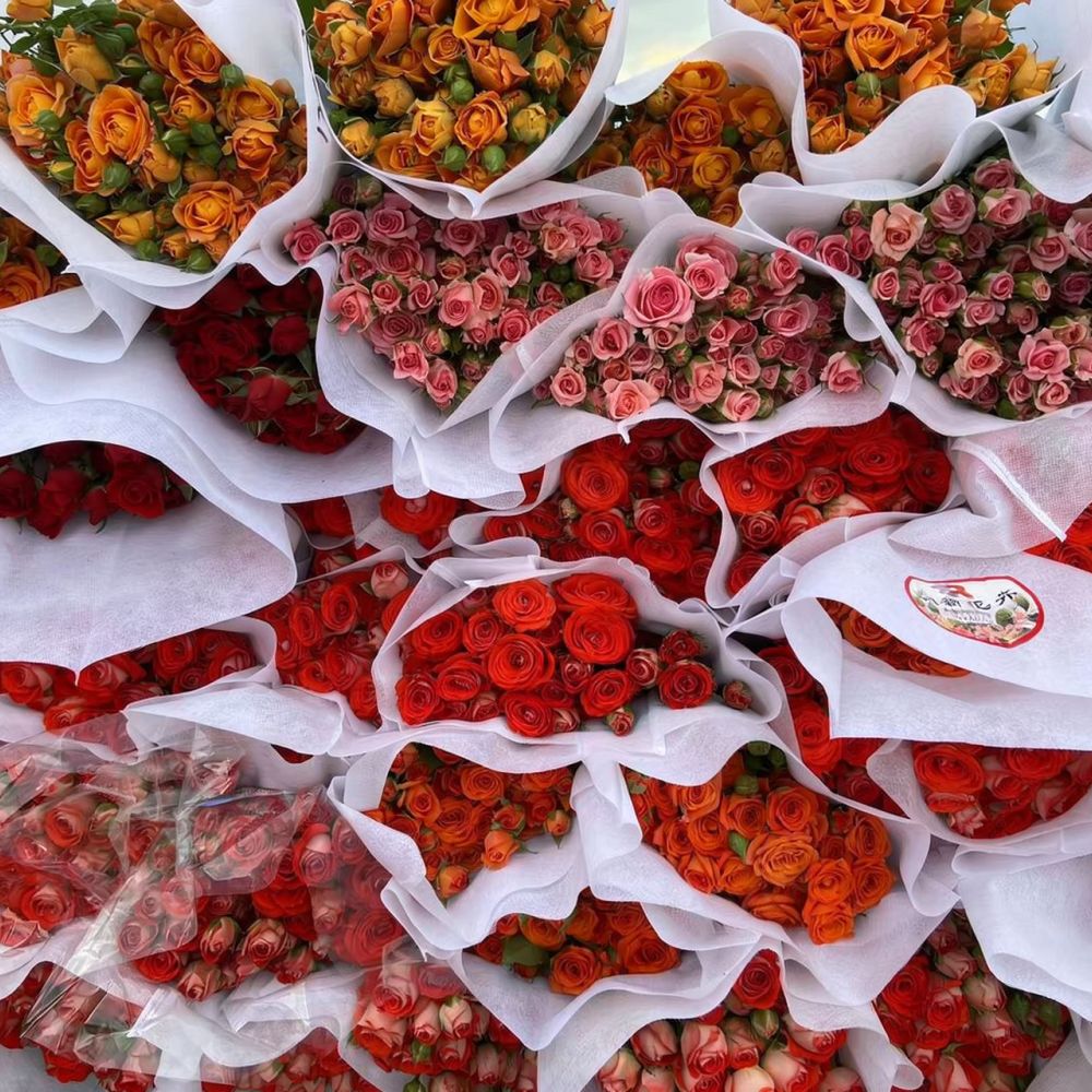 ช่อดอกไม้แห้งจริง ดอกกุหลาบ จั - Resin Art Rose บทวิจารณ์และราคา