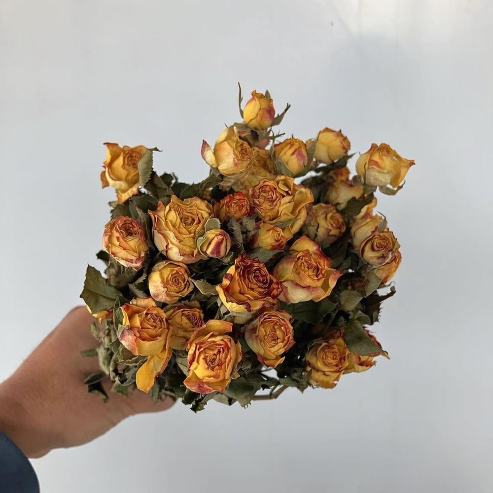 ช่อดอกไม้แห้งจริง ดอกกุหลาบ จั - Resin Art Rose บทวิจารณ์และราคา