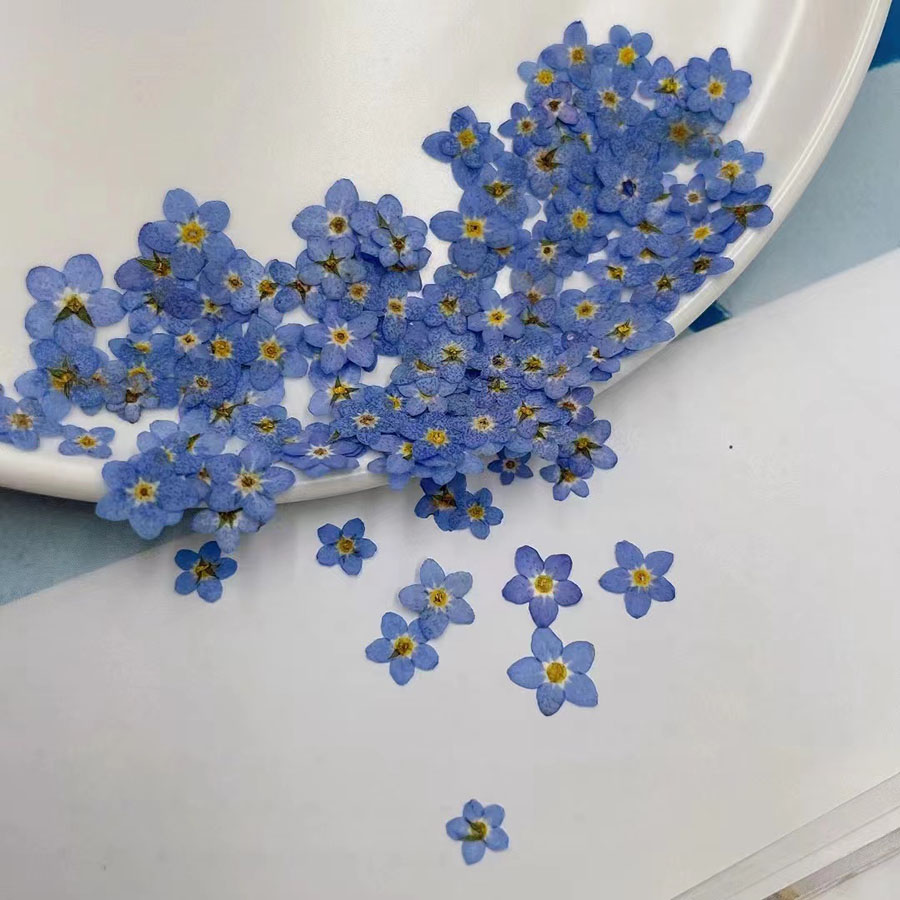 ดอกไม้แห้งขนาดเล็ก 60 ชิ้น – อ - Resin Art Baby บทวิจารณ์และราคา