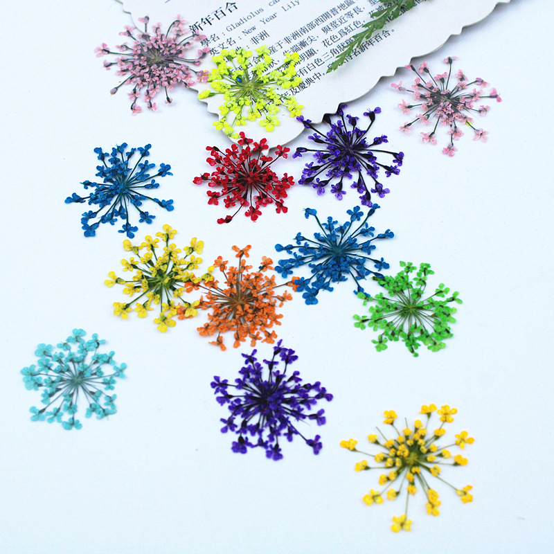 ดอกไม้ลูกไม้ 500 ชิ้น ดอกไม้แห - Resin Art Baby บทวิจารณ์และราคา